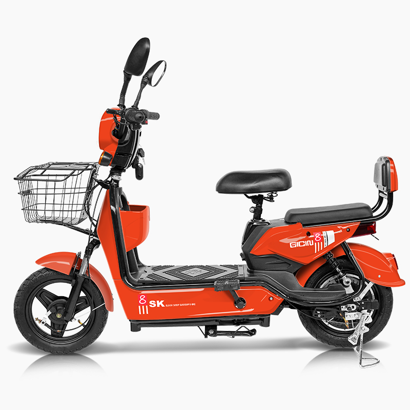 2025 Kelansini 48V12A Rear Hub - Dual Motor Electric Motorcycle Frame review and price