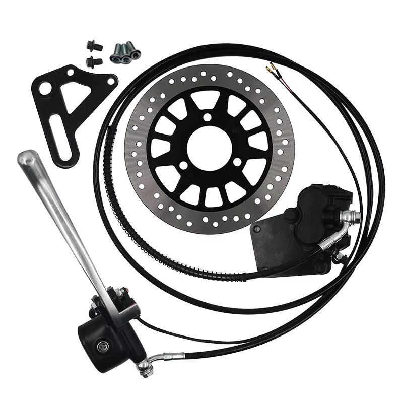 QS273 13 Inch 8000W 72V 120KMH - Qs273 Hub Motor 8000W 72V review and price